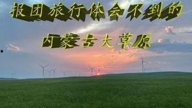 国产美女骑小马,国产美女与萌宠小马的甜蜜邂逅